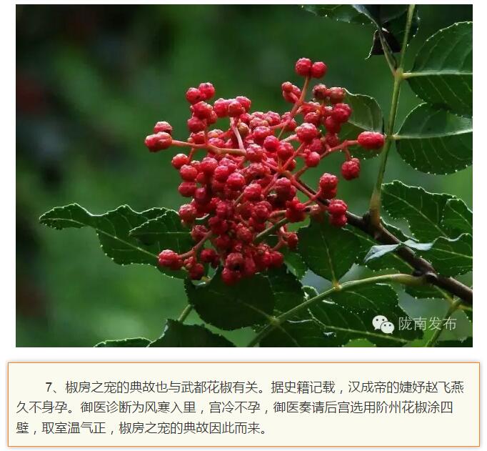 蘭渝鐵路最早由孫中山先生提出？在隴南，你不知道的事兒還有……