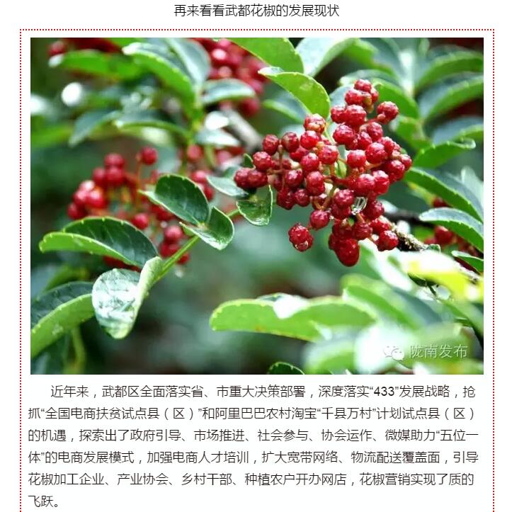 5.28億！一場盛會，武都花椒“火”了