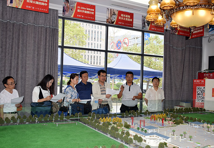 省、市聯(lián)合工作組蒞臨階州廣場檢查指導(dǎo)工作