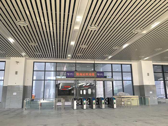 全國(guó)、省市政協(xié)委員體驗(yàn)蘭渝鐵路、視察階州廣場(chǎng)