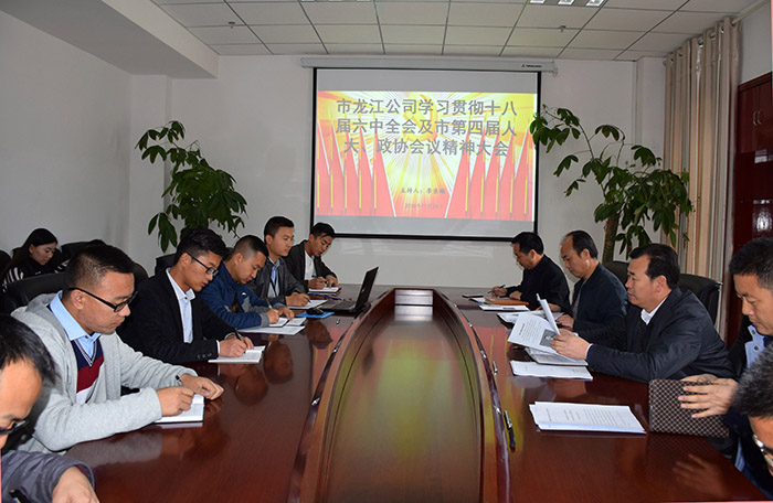 市龍江公司召開全體員工大會，專題傳達(dá)學(xué)習(xí)上級會議精神