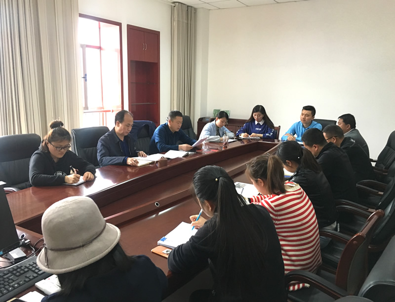 市龍江城鄉(xiāng)發(fā)展集團(tuán)專題學(xué)習(xí)近期中央、省、市紀(jì)律檢查委員會(huì)議精神