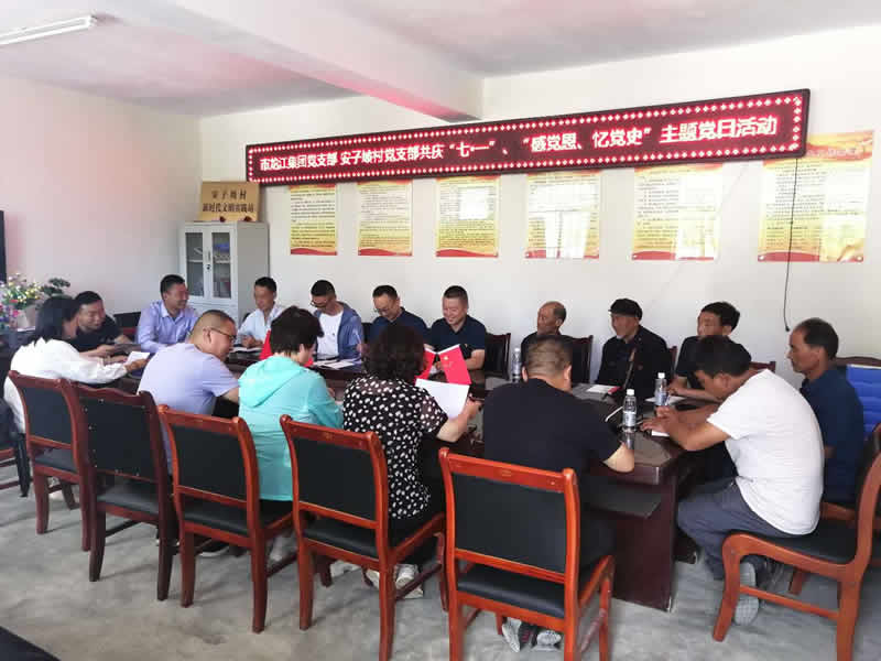 “感黨恩、憶黨史”，--市龍江城鄉(xiāng)發(fā)展集團(tuán)公司開展慶祝建黨99周年主題黨日活動