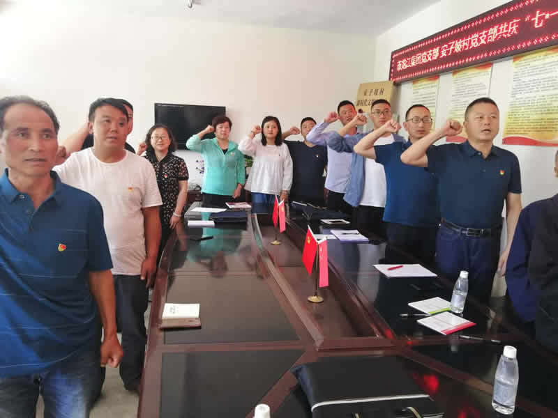 “感黨恩、憶黨史”，--市龍江城鄉(xiāng)發(fā)展集團(tuán)公司開展慶祝建黨99周年主題黨日活動