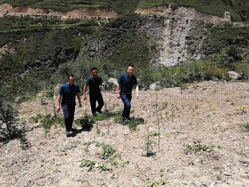 “感黨恩、憶黨史”，--市龍江城鄉(xiāng)發(fā)展集團(tuán)公司開展慶祝建黨99周年主題黨日活動