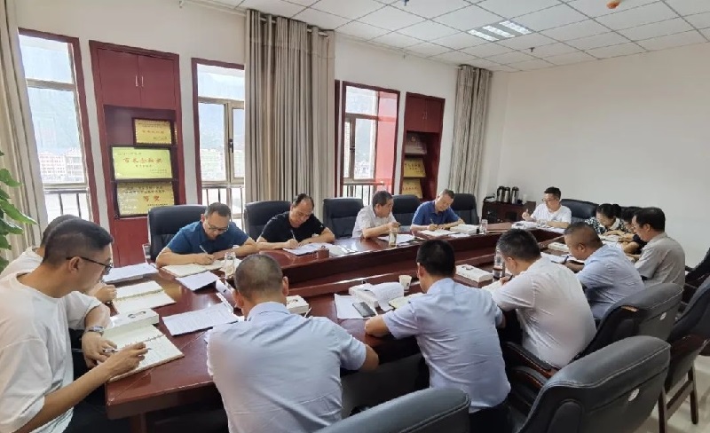 市龍江集團(tuán)召開(kāi)黨委(擴(kuò)大)會(huì)議